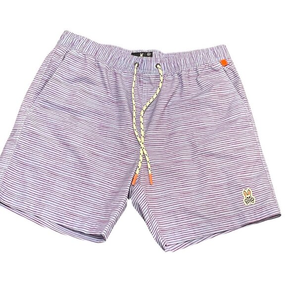 Psycho Bunny Mens Lucas Swim Shorts Blue Purple Stripe Sz M Unlined 6" Inseam - Picture 1 of 8